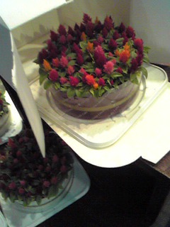 gakugeidai_Image1051.jpg