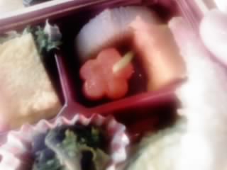 hanami0105.jpg