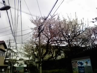 tokyo0074.jpg
