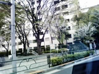 tokyo0099.jpg